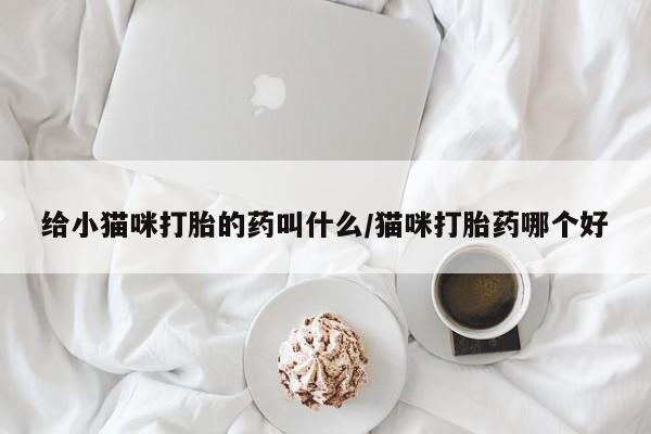 卖流产药联系方式给小猫咪打胎的药叫什么/猫咪打胎药哪个好