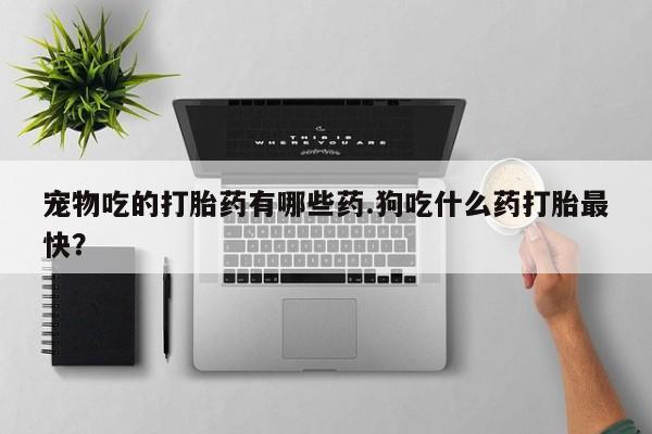 卖流产药联系方式宠物吃的打胎药有哪些药.狗吃什么药打胎最快？