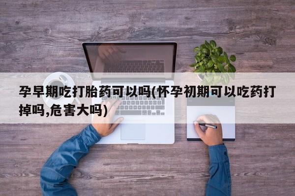 卖流产药联系方式孕早期吃打胎药可以吗(怀孕初期可以吃药打掉吗,危害大吗)